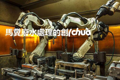 馬糞廢水處理的創(chuàng)新技術(shù)與應(yīng)用？